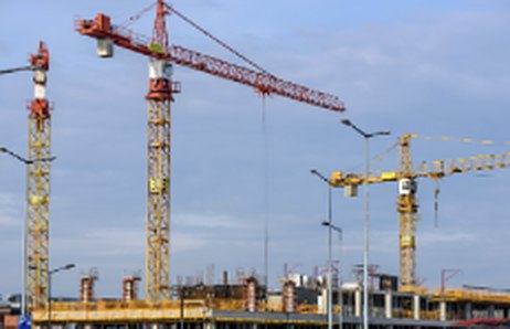 Supervision & Project Management